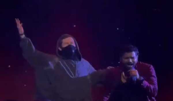 King and Alan Walker perform 'Story of a Bird' at WAVES 2025