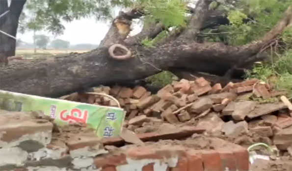 Delhi rain: Four members of a family killed as tree falls on tubewell room