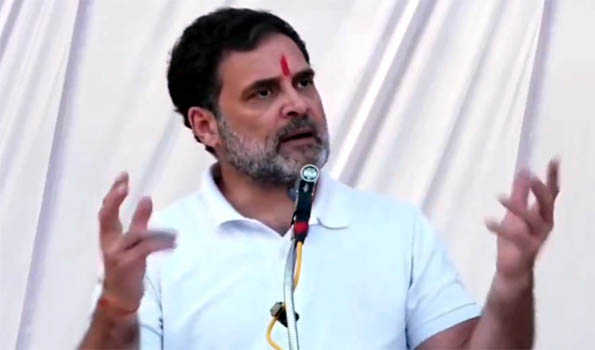 HC disposes of plea on Rahul's citizenship, asks Centre to continue probe