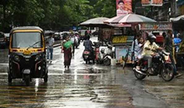 Maha: Three killed after tree falls on autorickshaw in Thane