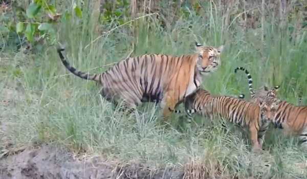 Terai region in UP emerging as ecotourism hub