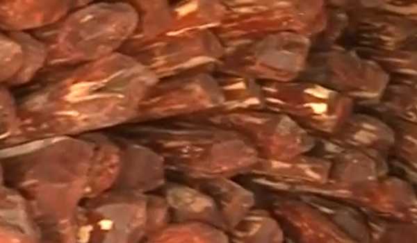 AP CM wants a committee to facilitate sale of red sander wood