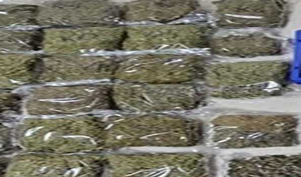 Air Customs intelligence unit seizes drugs worth Rs 40 crore  at Karipur International Airport