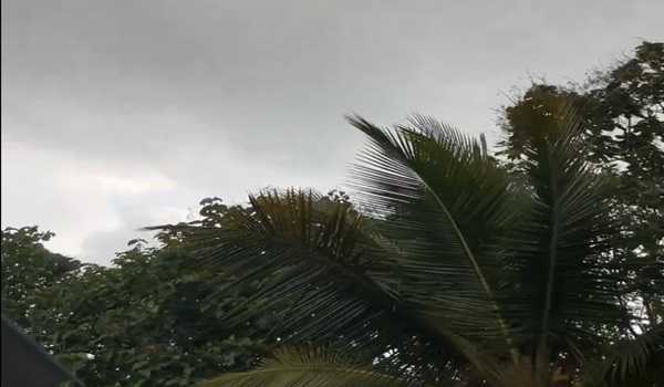 Heavy rain likely in Telangana in next 24 hours: Met