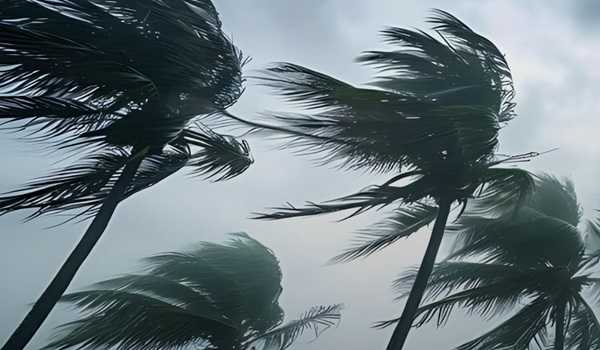 Rains: IMD forecasts yellow alert for Mumbai