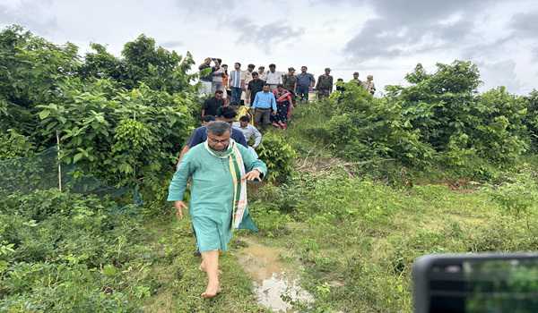 Tripura govt allows rubber cultivation in Govt land