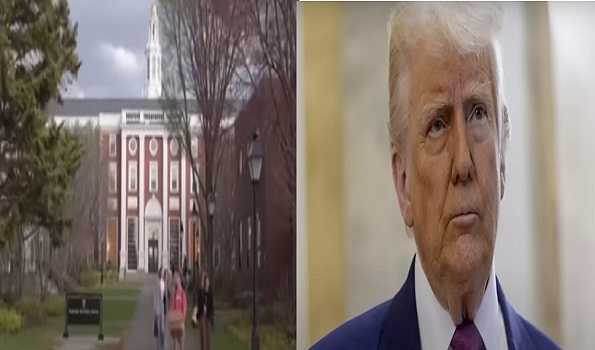 International Harvard students in panic after Trump move to scrap their enrolment