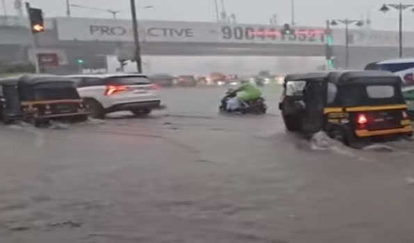 Maha: Heavy rains trigger tree collapses across Mumbai; 1 dies, 1 injured