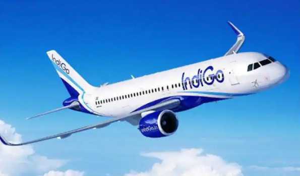 IndiGo to add 10 new global routes, says CEO