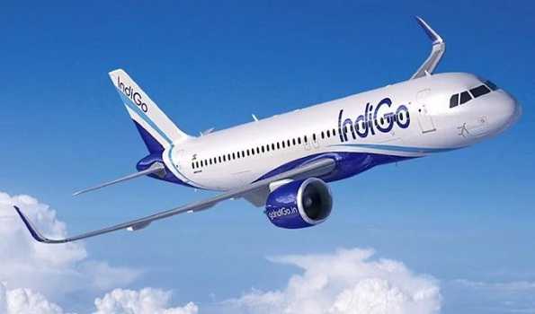 IndiGo won