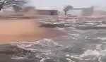 Paramilitary attacks kill at least 300 in SW Sudan in 2 days: Govt