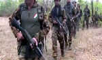 18 Naxals killed in Chhattigarh-Telangana border