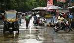 Maha: Three killed after tree falls on autorickshaw in Thane