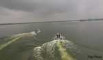 Security up along Bengal coast amid fears of infiltration