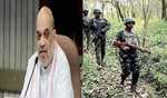 Shah praises security forces for killing 31 Naxalites in Kurreguttalu Hills