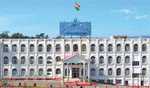 Form panel to address stray dog menace: Meghalaya HC