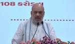 India destroyed terrorist camps 100 kms inside Pakistan: Amit Shah