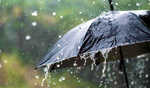 Rainfall brings respite from heatwave in Himachal