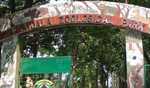 Three healthy tiger cubs born in Tripura zoo for first time since 1972