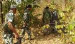 26 Naxalites killed in Chhattisgarh's ongoing operation