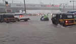 Maha: Heavy rains trigger tree collapses across Mumbai; 1 dies, 1 injured