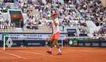Borges gives 'Ruud' shock to seventh seed at Roland Garros