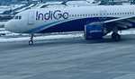 Indigo