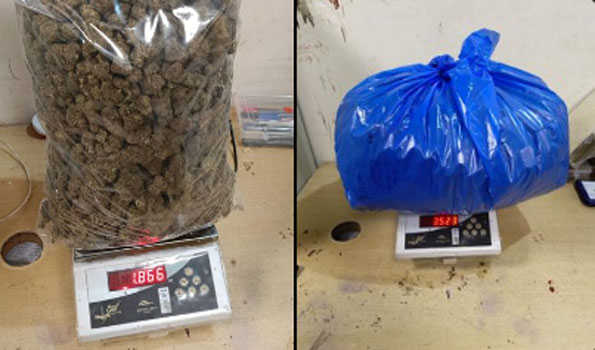 Ganja worth Rs 8.5 cr seized at Mumbai airport