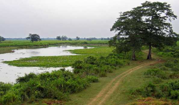 Green nod for anti-erosion work at Kaziranga