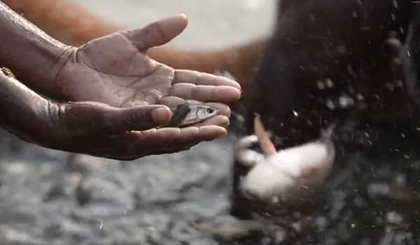 Coastal Kendrapara abuzz with fishing activity as ban lifted