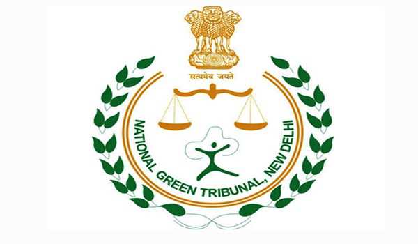 NGT takes cognisance of viral video showing garbage littering in Kasol forests