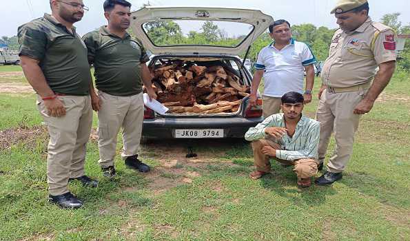 J&K: Jammu Police, Forest Department foil smuggling of Khair Wood