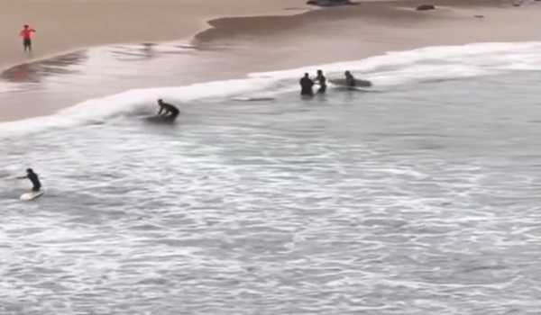 Teenager bitten by shark at Australian beach
