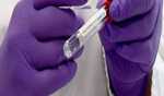 COVID-19 death cases rise to 8 in Kerala
