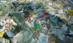 Microplastic levels in water bodies high; needs constant monitoring: Expert