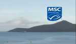 Ocean biodiversity under threat, says MSC survey