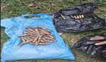 J&K: SFs recover arms, ammo from hideout in Rajouri
