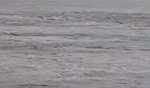 Krishna flood alert in Yadgir, Gadag farmers cut off
