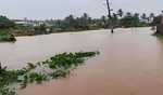 Red alert in Dakshina Kannada, families shifted