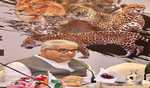 Bhupender Yadav presides over inaugural assembly of International Big Cat Alliance