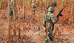 Three top Maoists killed in Andhra encounter