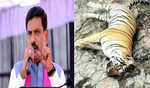 Karnataka BJP chief Vijayendra terms tiger deaths despicable, demands action