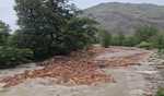 Dry wooden logs surface in Kullu flash floods stir environmental concerns