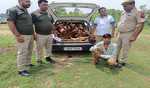 J&K: Jammu Police, Forest Department foil smuggling of Khair Wood