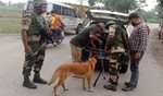 Amarnath Yatra: Jammu Police intensifies security grid, increases check points