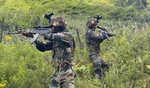 J&K: Army, BSF foil infiltration bid in Rajouri sector, local guide nabbed