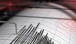 Earthquake of magnitude 4 4 hits Haryana, tremors felt in Delhi-NCR
