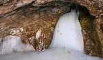 Amarnath Yatra: Fresh batch of pilgrims leave from Jammu base camp