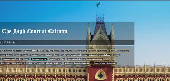 Calcutta HC bars grants to puja committees without audit reports