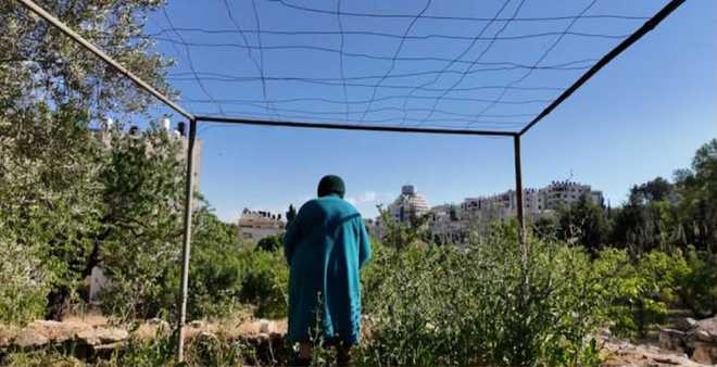 Oscar-nominated Indian documentary 'All That Breathes' inspires new Palestinian film project